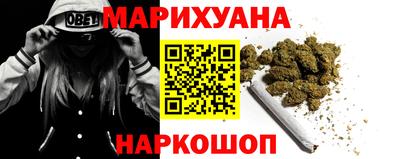 сатива Гатчина