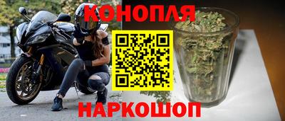 мяу мяу мука Гай