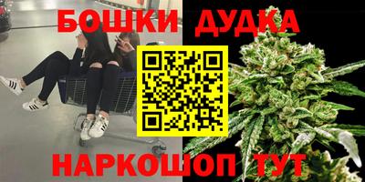 сатива Гатчина