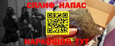 сатива Гатчина