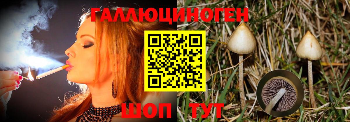 Галлюциногенные грибы Psilocybe  Псилоцибиновые грибы Psilocybe  Курганинск  Вход с VPN 